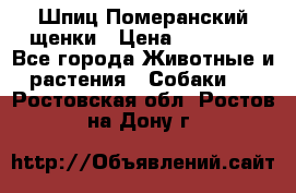 Шпиц Померанский щенки › Цена ­ 25 000 - Все города Животные и растения » Собаки   . Ростовская обл.,Ростов-на-Дону г.